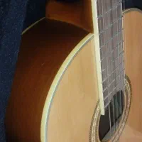 گیتار سانتانا cg010|گیتار، بیس، امپلیفایر|تهران, لویزان|دیوار