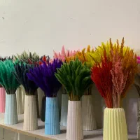 گل خشک تزئینی|گل مصنوعی|شاهرود, |دیوار