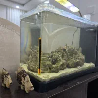 آکواریوم آب شور