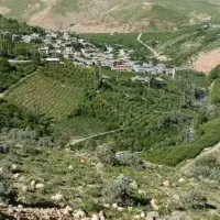 اوقات فراغت با درختان