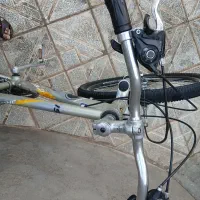 دوچرخه|دوچرخه، اسکیت، اسکوتر|کاشمر, |دیوار