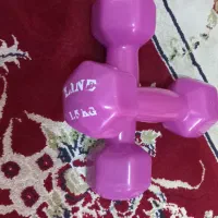 دمبل یک ونیم کیلویی|تجهیزات ورزشی|محمدیه-قزوین, |دیوار