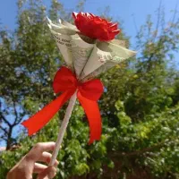 گل ربانی و پول آرایی شیک