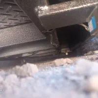 باسکولدامکشگاوگوساله