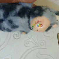 عروسک لبوبو|اسباب‌‌بازی|ایلام, |دیوار