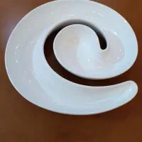 ظرف پذیرایی مارپیچ
