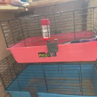 قفس خرگوش سالم در حد