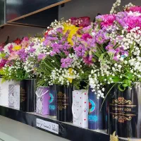 گل دسته گل باکس گیاه طبیعی آپارتمان شیک هدیه عالی|گل و گیاه طبیعی|مشهد, حجاب (شهرک غرب)|دیوار