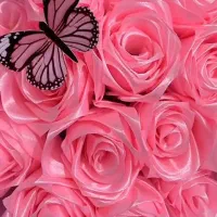 رز جاودان، تخفیف، ولنتاین