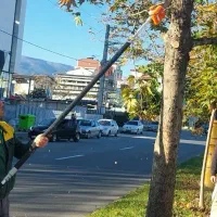 خدمات باغبانی