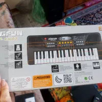 ارگ تمرینی|پیانو، کیبورد، آکاردئون|مشکیندشت, |دیوار