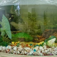 آکواریم خوشگل و شیک