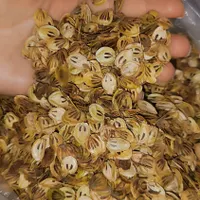 گلپر سفید و خوش عطر