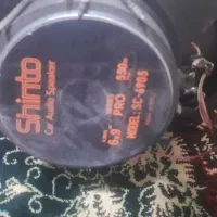 ضبط و باند