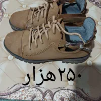 کفش|کیف، کفش، کمربند|شیروان (خراسان), |دیوار