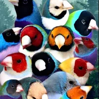 پرنده فروشی|پرنده|هشتگرد, هشتگرد قدیم|دیوار