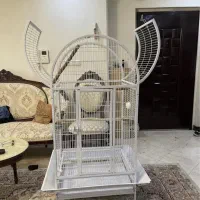 قفس بزرگ طوطی سانان|لوازم جانبی حیوانات|گرمسار, |دیوار