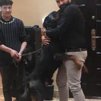 حفاظت فیزیکی از شما و محوطه