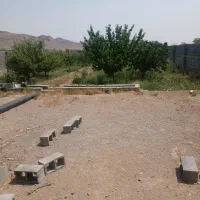 باغ در علویجه