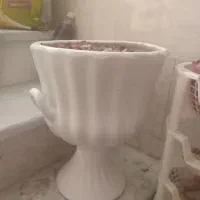 یک عدد گلدان سفیدوتمیز