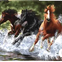 نمایندگی تابلو فرش تبریز|تابلو فرش|اردبیل, |دیوار