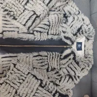 پالتو وادراتی جدید و شیک