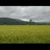 ۱۸۰۰ متر زمین کشاورزی