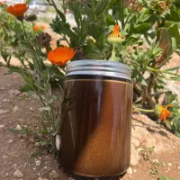 معجون شگفت انگیز سردی و بلغم