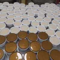 کره بادام زمینی خالصشکلاتی ارسال رایگانبهدهلران|خوردنی و آشامیدنی|دهلران, |دیوار