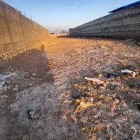 زمین ۱۲۰۰ متر جهت دامداری