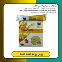 پودر جوانه گندم