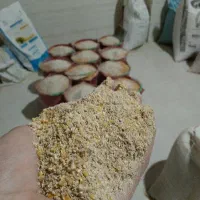 تولید دان با کیفیت گوشتی و تخمگذار انواع پرندگان