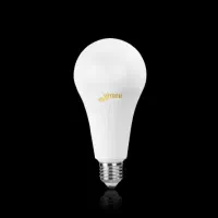 نپت زوران بالا