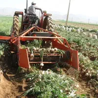 کندن سیر و سیب زمینی بادستگاه