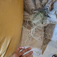 تور یالی قالب 13