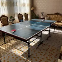 میز پینگ پونگ