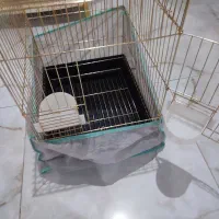 قفس