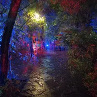 زمین ( مجتمع کشاورزی عصر کمیل )|فروش دفتر صنعتی، کشاورزی، تجاری|خاوران, |دیوار