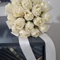 گل عروس