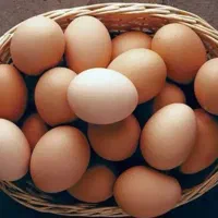 تخم مرغ محلی