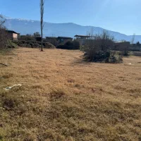 زمین-چسبیده-به-بافت