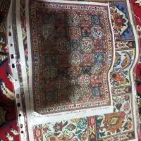 فروش قالی|فرش|فارسان, |دیوار