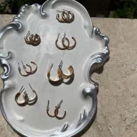 حراج انواع گوشواره های خاص