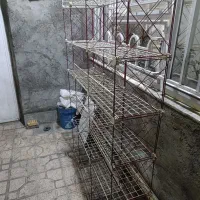 قفسه بندی|کتابخانه، شلف، قفسه‌های دیواری|مشهد, توس (بلوار توس)|دیوار