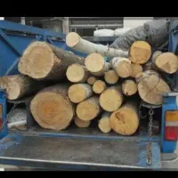 خریدچوب صنعتی هیزمی وزغالی|خدمات باغبانی و درختکاری|شهریار, شهریار|دیوار