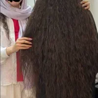 کوتاهی موهای شما