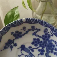 نلبکی گل ابی