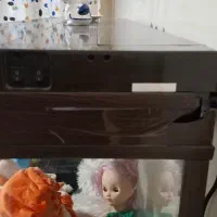 آکواریوم شیشه خم|ماهی|تهران, گیشا|دیوار