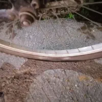 دوچرخه آساک دماوند 26