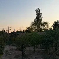 450 متر باغچه /آب،برق،گاز کنتور/دارای جواز ساخت|فروش زمین و ملک کلنگی|هشتگرد, هشتگرد قدیم|دیوار